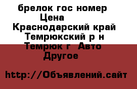 брелок гос номер › Цена ­ 350 - Краснодарский край, Темрюкский р-н, Темрюк г. Авто » Другое   